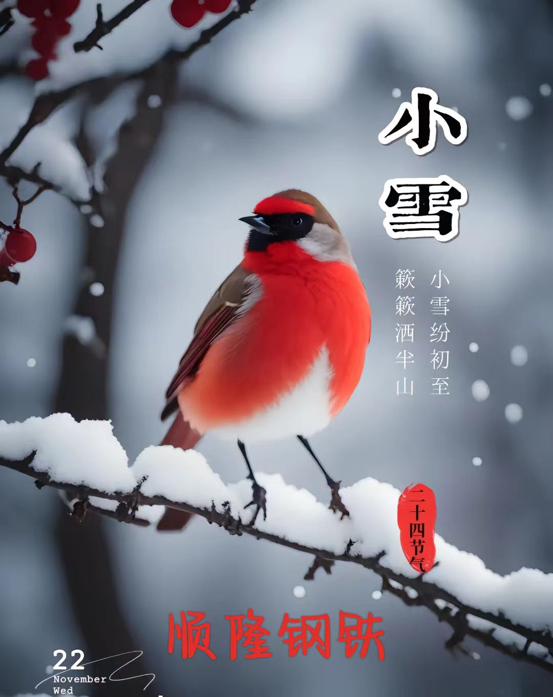 今日小雪